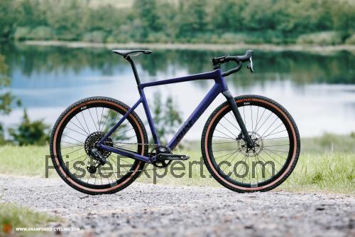 Rose Backroad Mullet fiche technique et avis